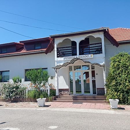 Pensiunea Daiadela Dusesti Exterior photo