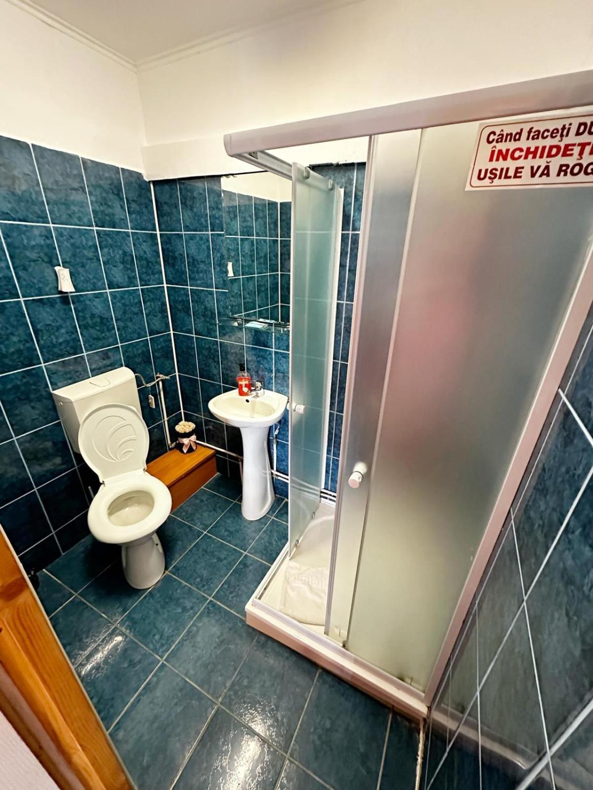 Pensiunea Daiadela Dusesti Room photo